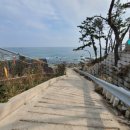 달보드레펜션 이미지