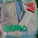 미니어처 우리집 | 스타벅스 미니어처 텀블러 키링 내돈내산 후기