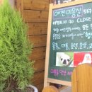 에스엘 독 이미지