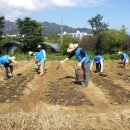 김창배 농장 이미지