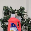 매일세탁 | 가성비 대용량 세탁세제 퍼넬 액체세탁세제 3L