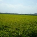 김만중 농장 이미지