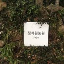 돌담농장 이미지