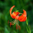 소용경로당 이미지