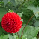 개울건너 이미지