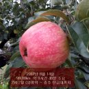 남한강자전거길 17 이미지