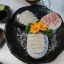 중앙꽃수족관 이미지