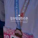 한국지엠창원바로서비스 | 제2회 창원 벚꽃 마라톤 참가 후기 10km 완주 메달, 벚꽃명소 꽃놀이 장소