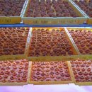 먼당농장 이미지