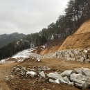 장성농원 이미지