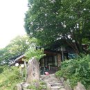 늑천정 옆 이미지