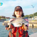 눈뜨면바다 이미지