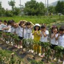 리라농장 이미지