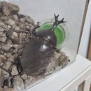 청주옥산생활체육공원 족구장 | 청주 등산코스 아이들과 오르기 좋은 응봉산 등산로