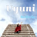 화산건설산업㈜ | [볼리비아] 아리엘 데이투어(1) 기차무덤, 콜차니마을 우유니 기념품, 우유니 광장(안세광장) | 여자...