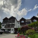 설국펜션 이미지