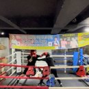 세종 익사이팅 복싱 이미지