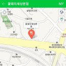 꽃돼지세상