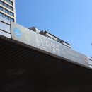 미소가(이수점) | 이수역 데이 맛집 카츠디나인 프리미엄 한돈 돈육 솔직후기