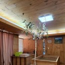 편백효소찜질 본점 이미지