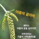 오늘은 2026년 9월 10일(음7월29일. 그믐) 목요일 이미지