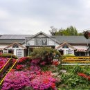 나리가펜션 | 정선펜션 추천 계곡 앞 힐링 숙소 하늘나리펜션 솔직후기