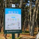 태안슈퍼 이미지