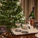 브라운 로 이미지