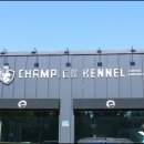 챔피언켄넬 이미지
