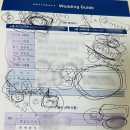 [공지] [결혼준비] 대구 노비아갈라 동촌 리모델링 워킹 홀투어 상세후기(25년 하반기 견적공유)