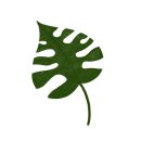 빛여울유치원 이미지