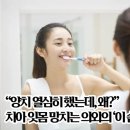 ''양치열심히했는데'왜?'' 치아잇몸망치는의외의' 이습관'은? 이미지