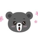 정육캠프 이미지