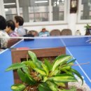 주진경로당 이미지