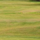 유성관광㈜ 이미지