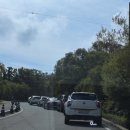 은행나무숲 주차장 부근 이미지