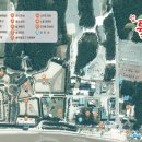 2025 섬 튤립축제 이미지