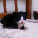 개금3동-1 이미지