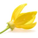 향기나라 화장품 이미지