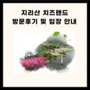 지리산 치즈랜드 방문 후기 및 입장 정보 이미지