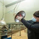 한우연구소 이미지