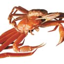 동해 바이오환경 이미지