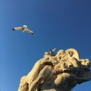 장흥 특산물: 자연이 선물한 풍요로운 맛