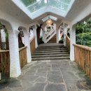 초록숲 하우스 이미지