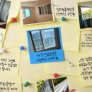 새집클로버 이미지