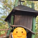 용인자연휴양림 | 아이들과 다녀온 용인자연휴양림 캠핑장 후기, 짧지만 행복했던 하루🍂⛺