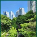 그린다숲공인중개사사무소 | 해운대부동산 대림꿈 부동산, 해운대의 신뢰를 모은 장인정신