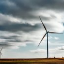 푸른신창 이미지