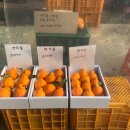 내혜홀농장 이미지