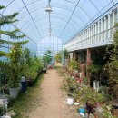 김진기공인중개사사무소 이미지